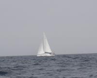 Bild der Yacht
